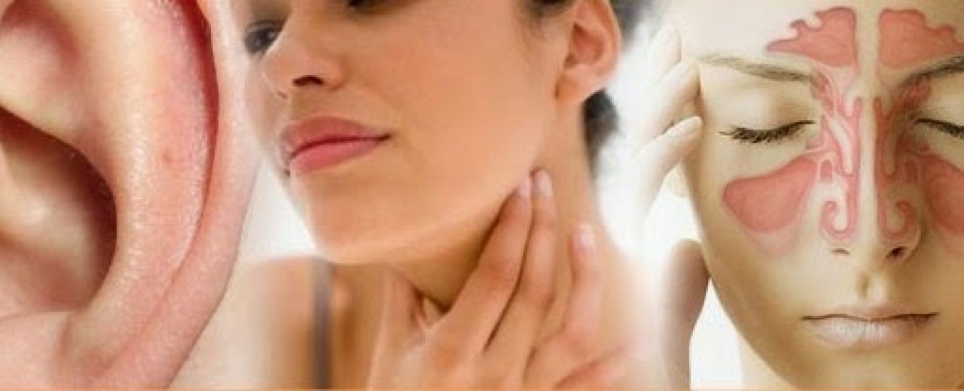 Otorrinolaringologia